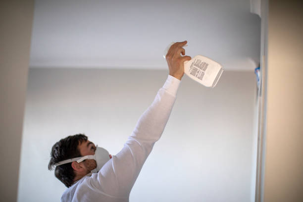 Best Local Mold Removal Service  in Dawson, GA