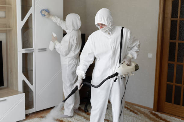 Best Commercial Mold Removal  in Dawson, GA