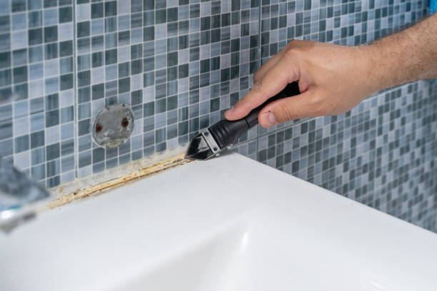 Best Affordable Mold Removal  in Dawson, GA