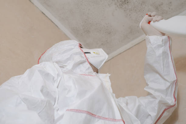 Best Office Mold Removal Services  in Dawson, GA