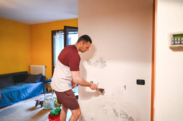 Best Mold Damage Repair  in Dawson, GA